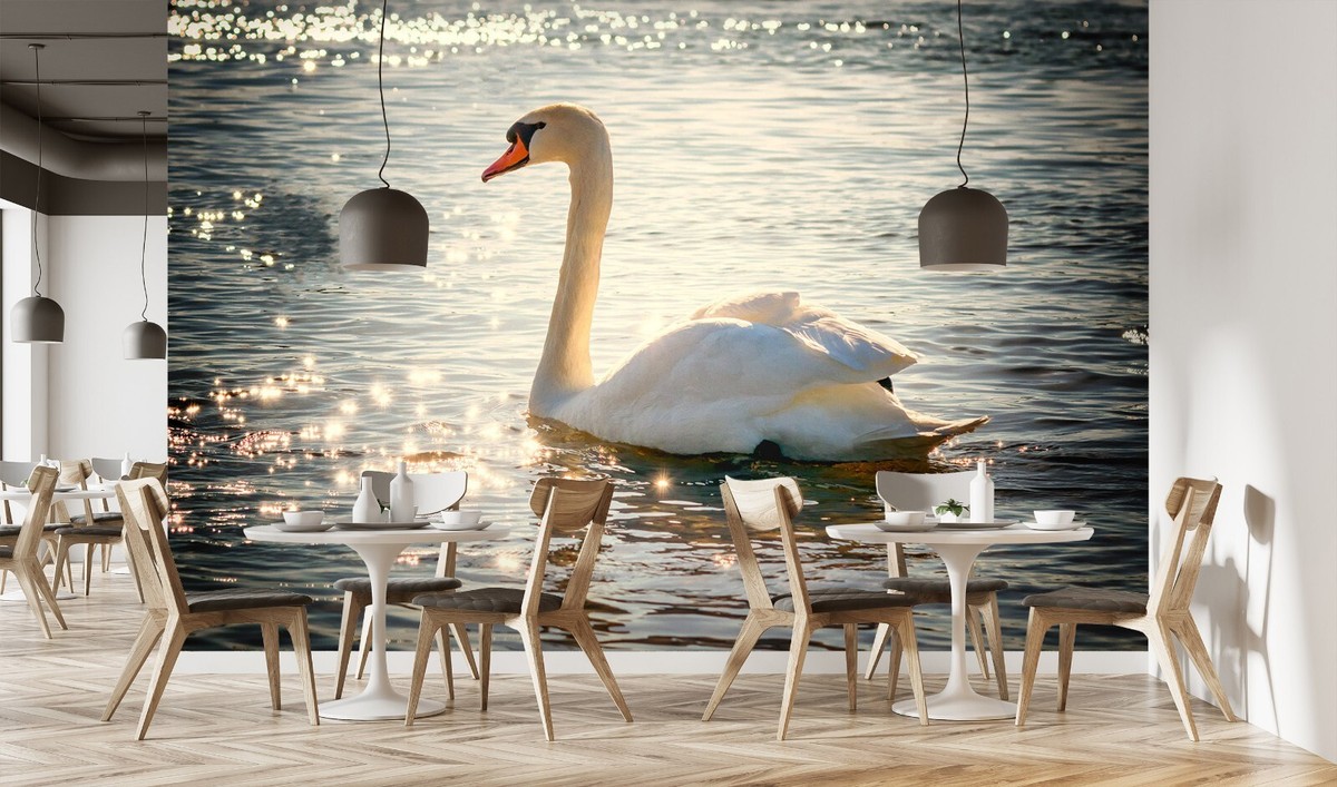 Large Scale Mural Application